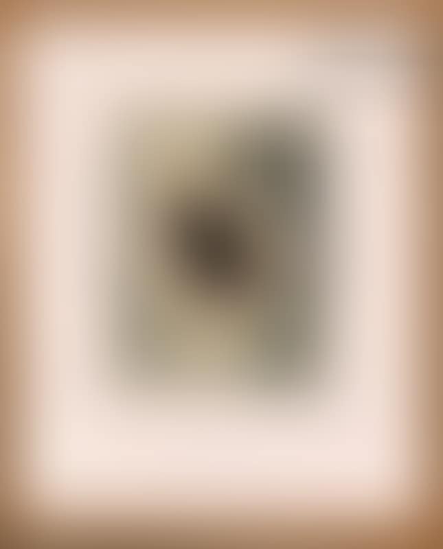 “Port-portræt” (preview)