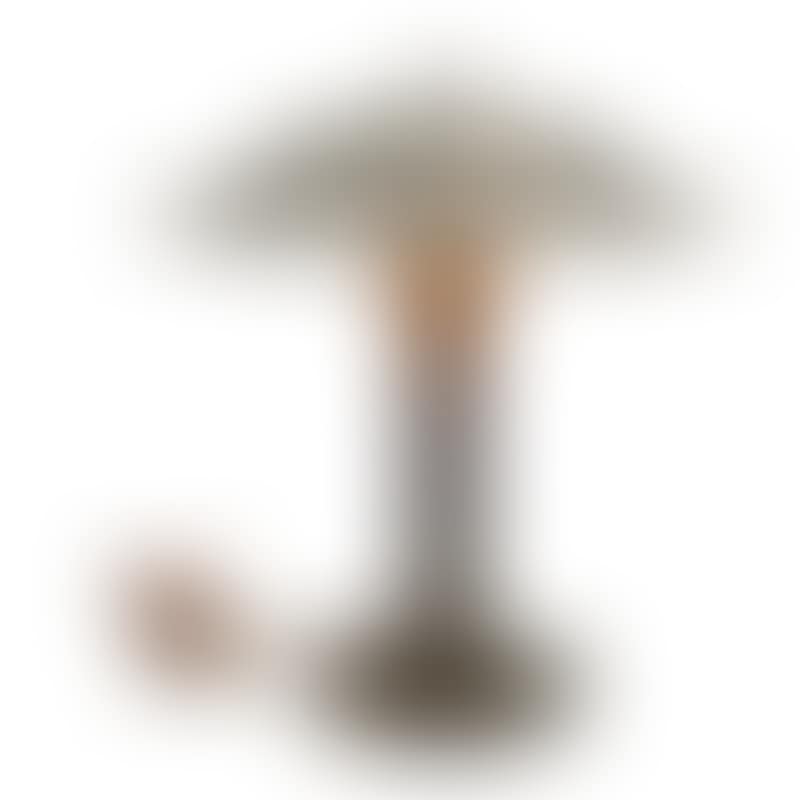 Torch lamp (preview)