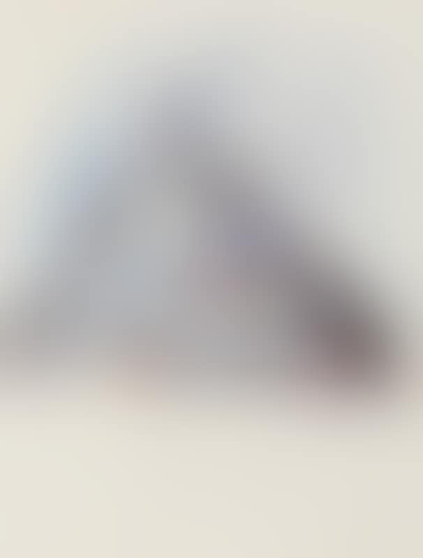 Study of a horse head (preview)