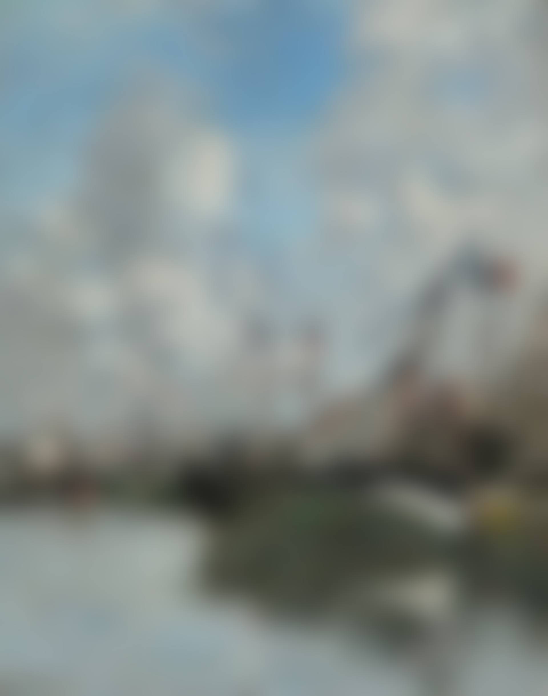 Trouville, barques é chouées (preview)