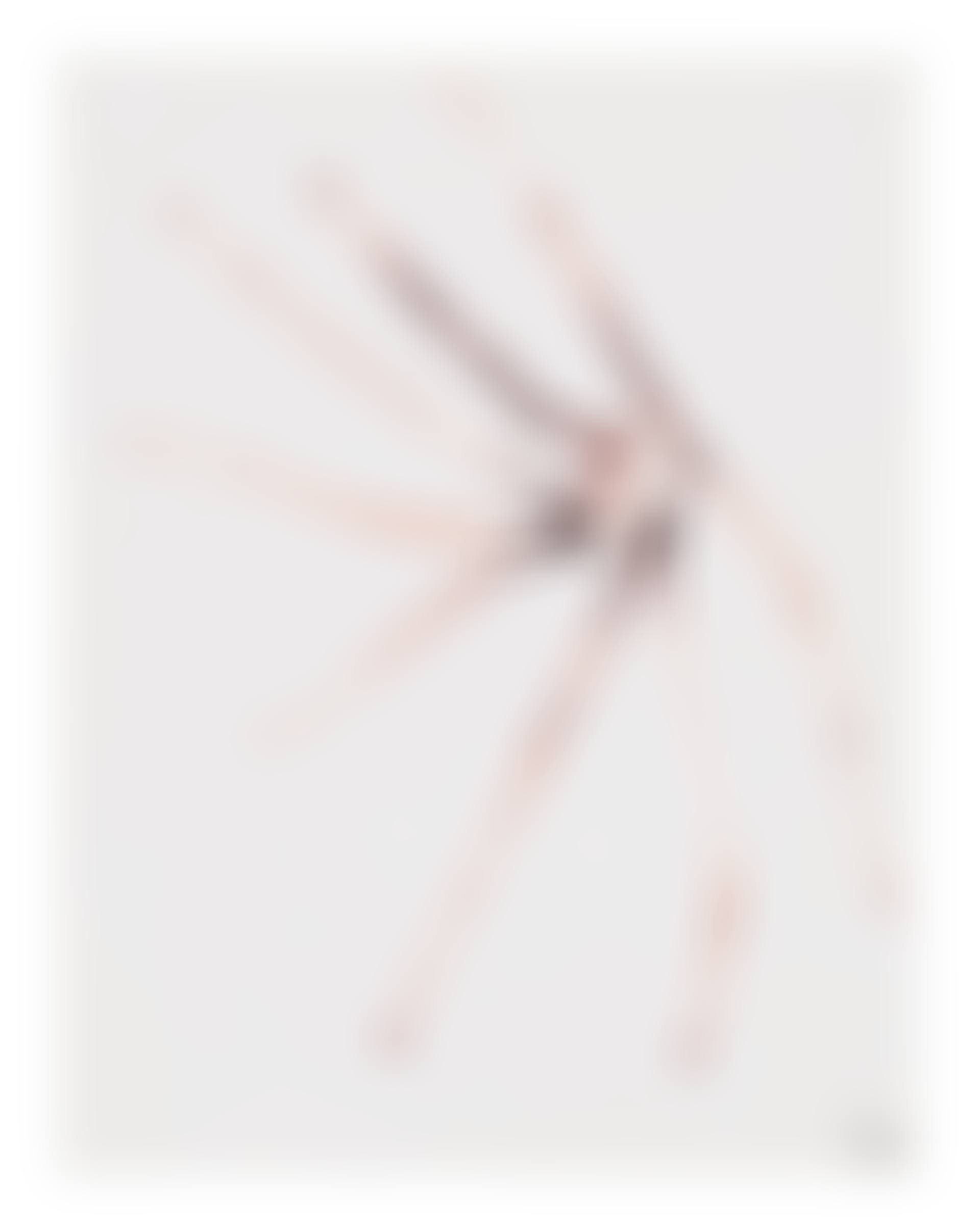 Spider (preview)