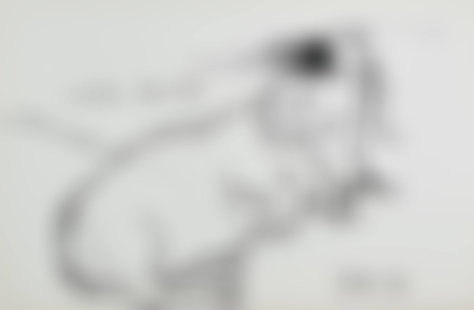 Little Boodge (preview)