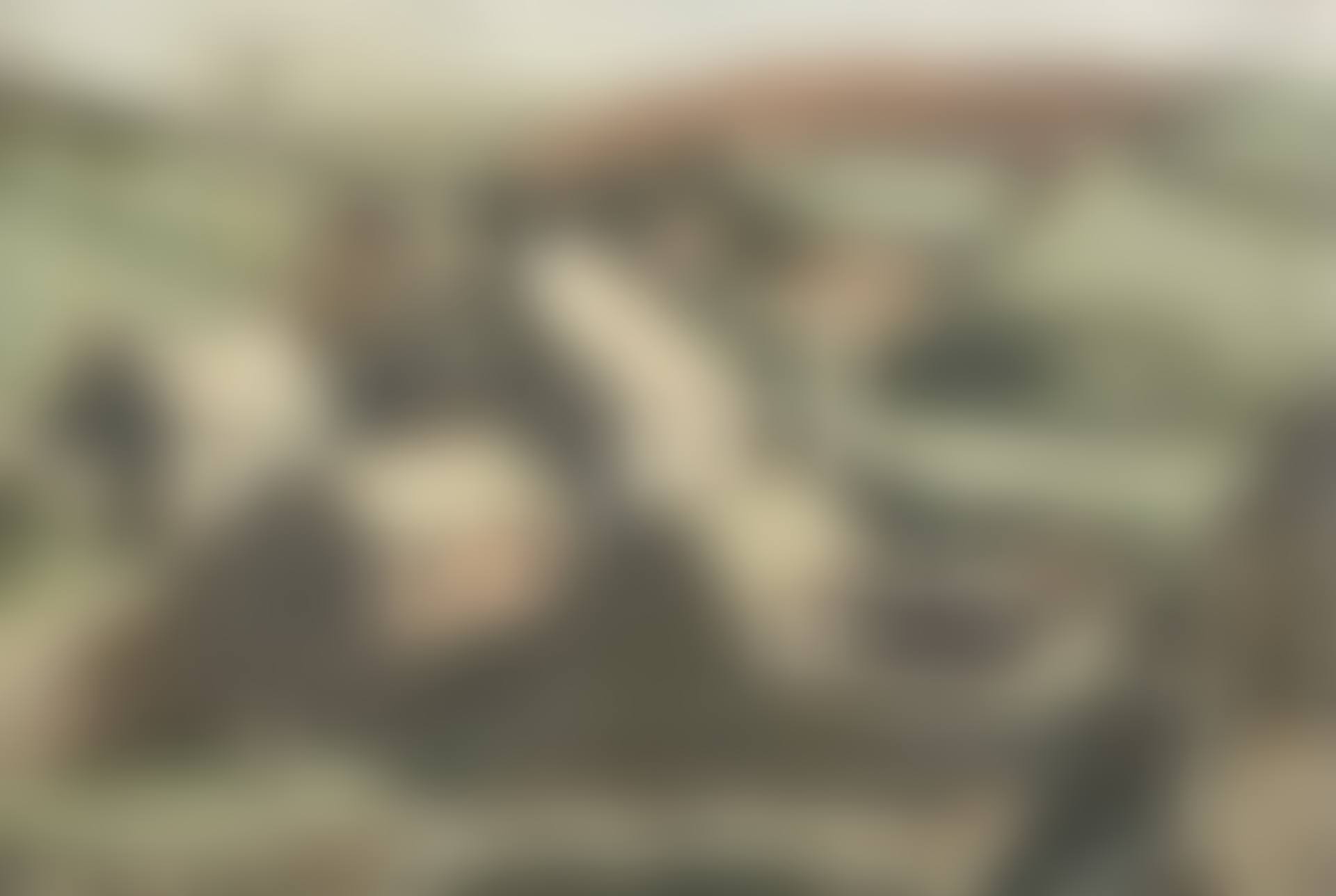 Hillside buildings (preview)