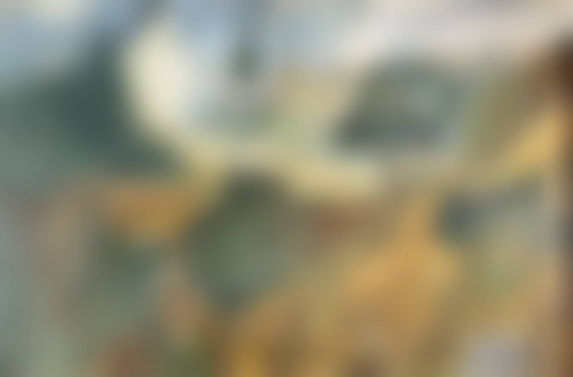 Landscape (preview)