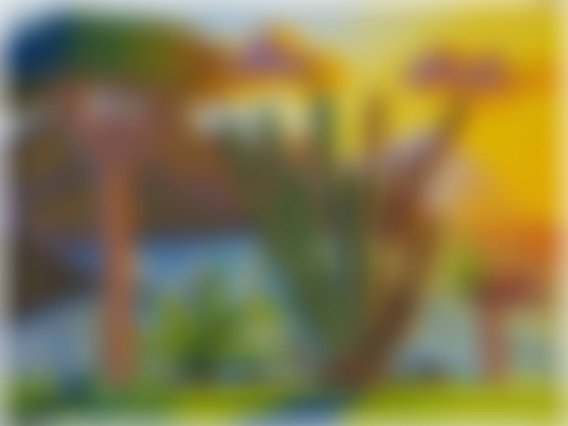 Punta del Hidalgo (preview)