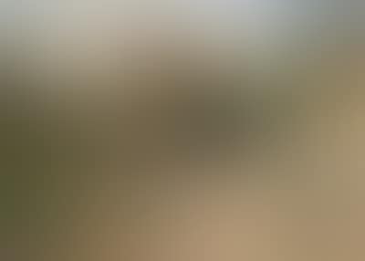 Lake Garda, Arco (preview)