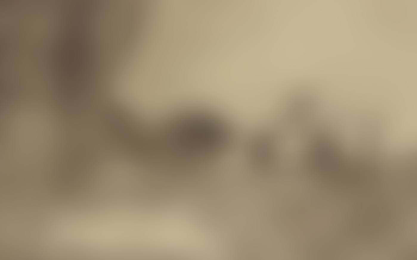 "Corrida" (preview)