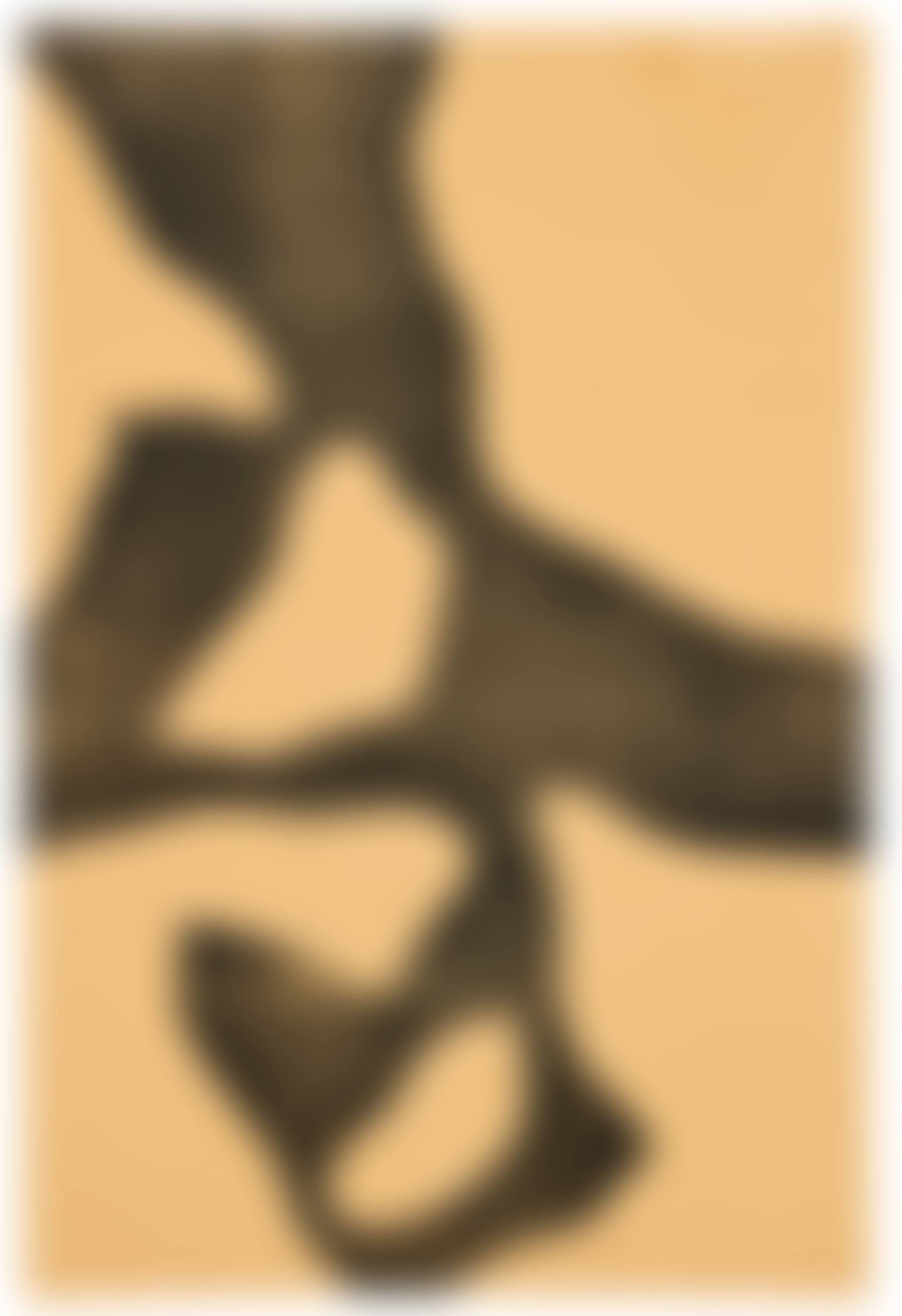 Composition (preview)