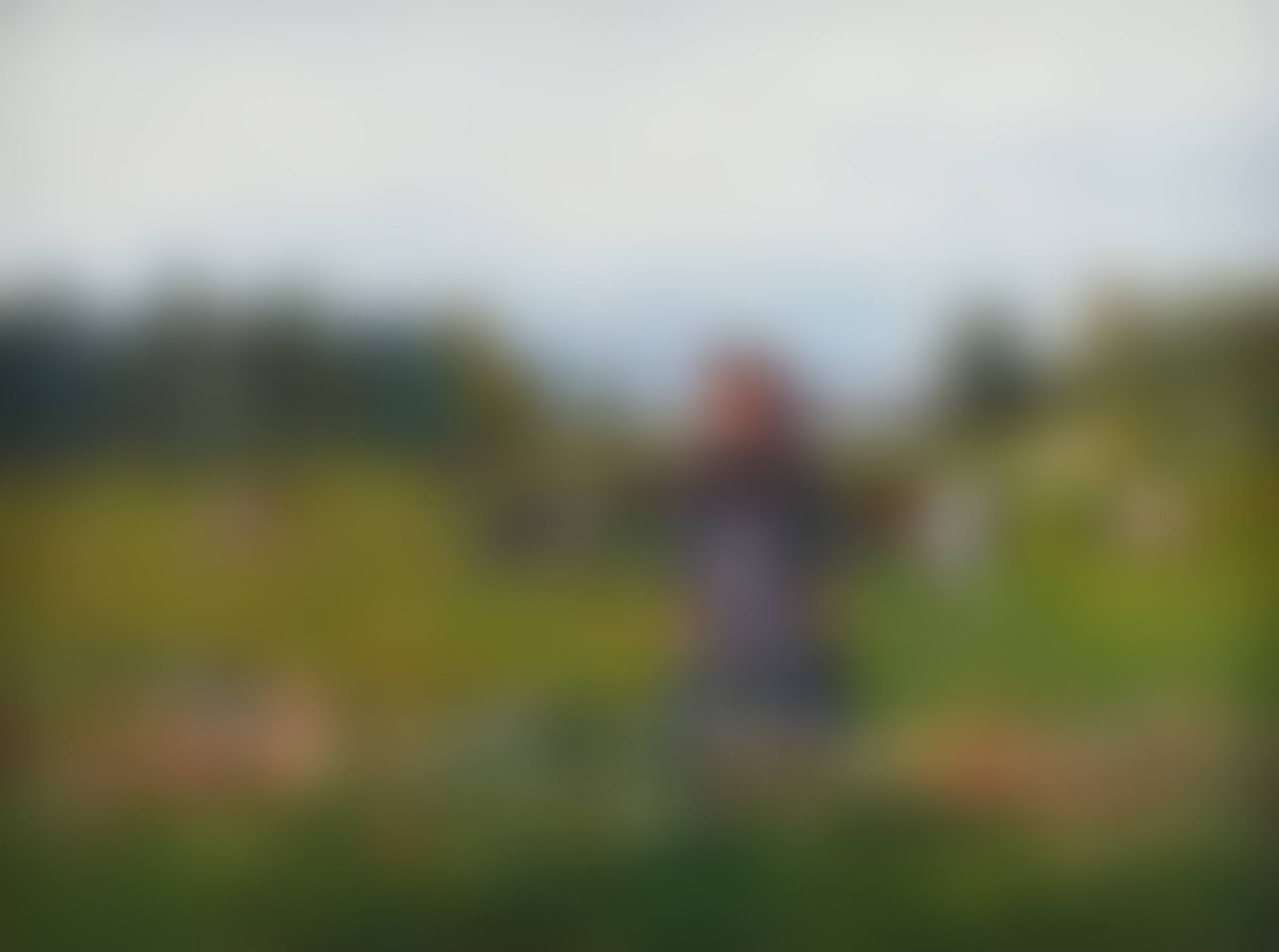 Shepherd girl with cows in landscape (preview)