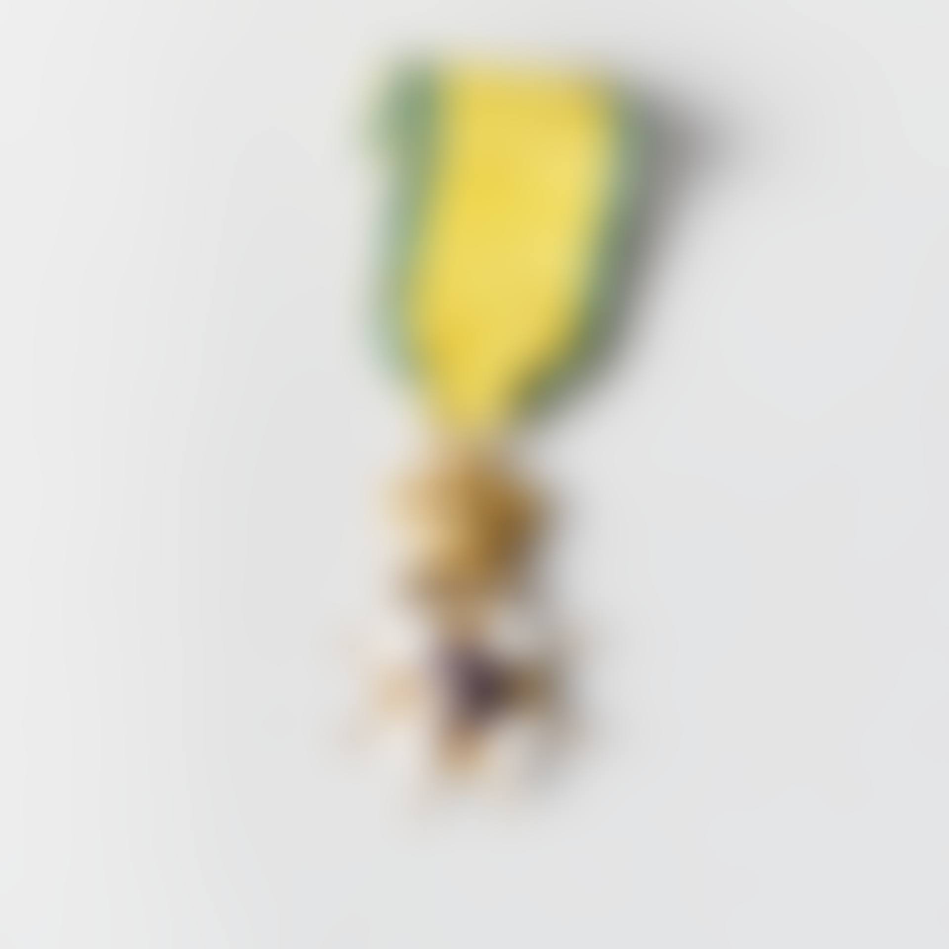 Badge of the Order of the Sword (preview)