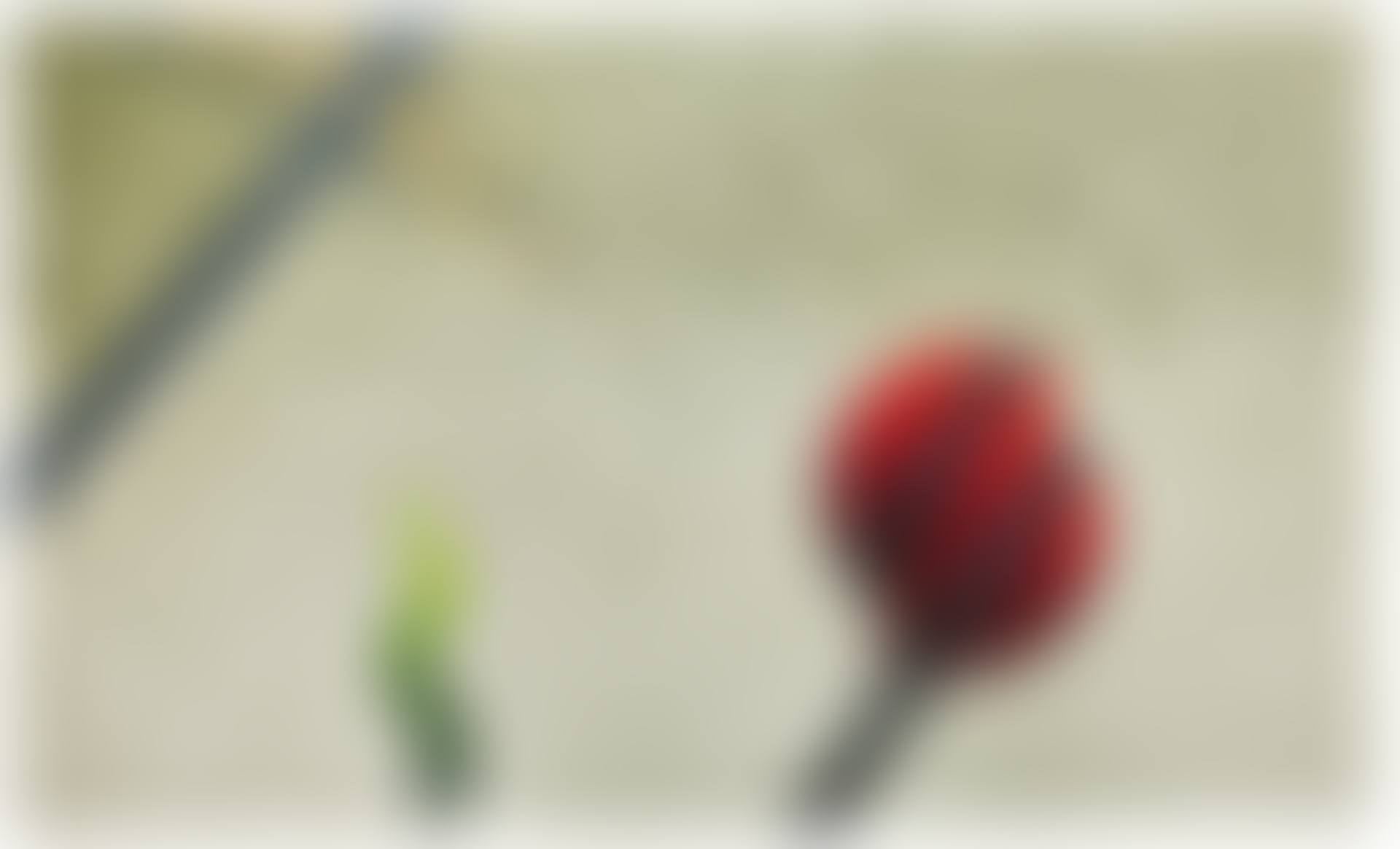 "The lonely cypress" (preview)