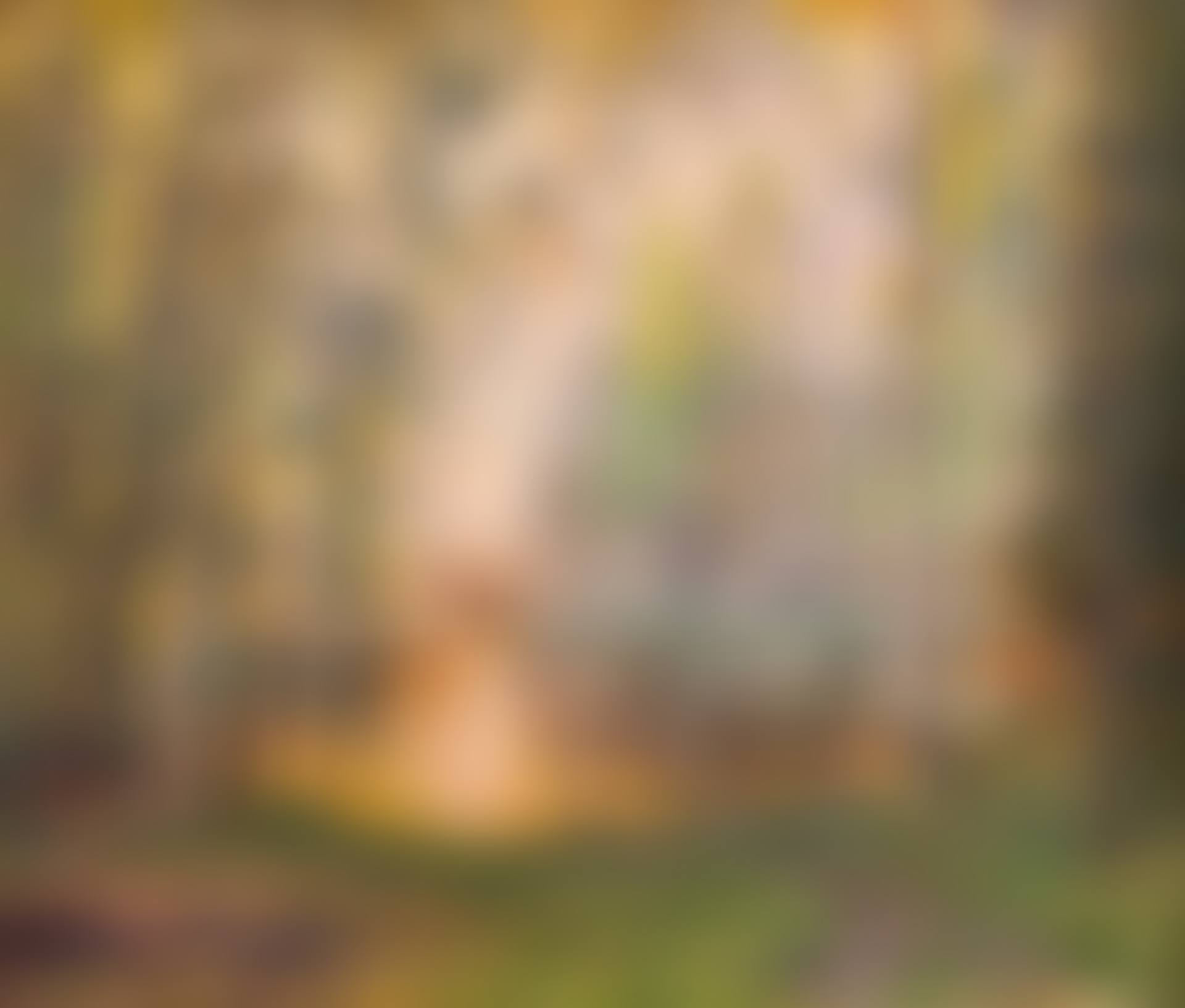 Forest lake in Lokadalen (preview)