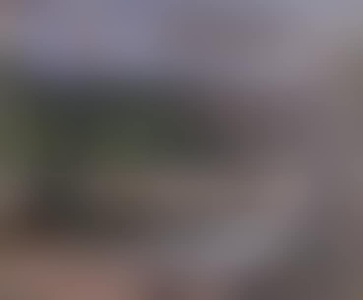 Swimming near a bridge (preview)