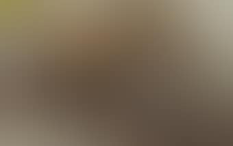 Stool (preview)