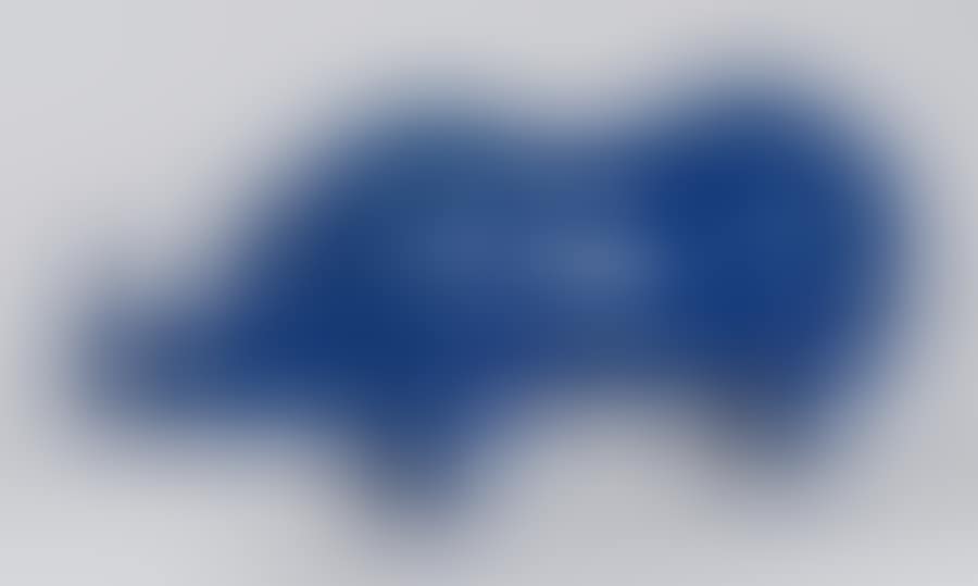 Rhinocéros (preview)