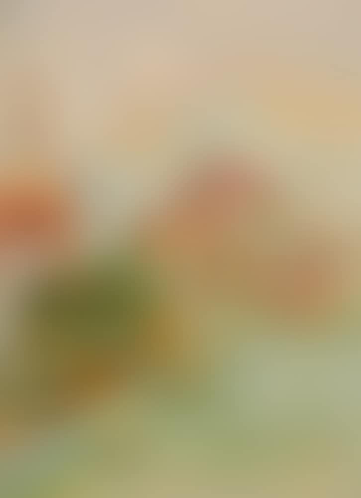 Houses, Castle on Hill (preview)