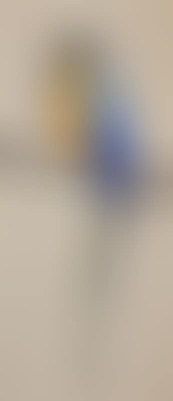 Blue and gold parrot (preview)