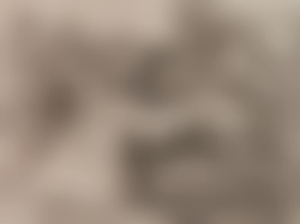 "Farandula de Charlatones" (Harris 195) (preview)