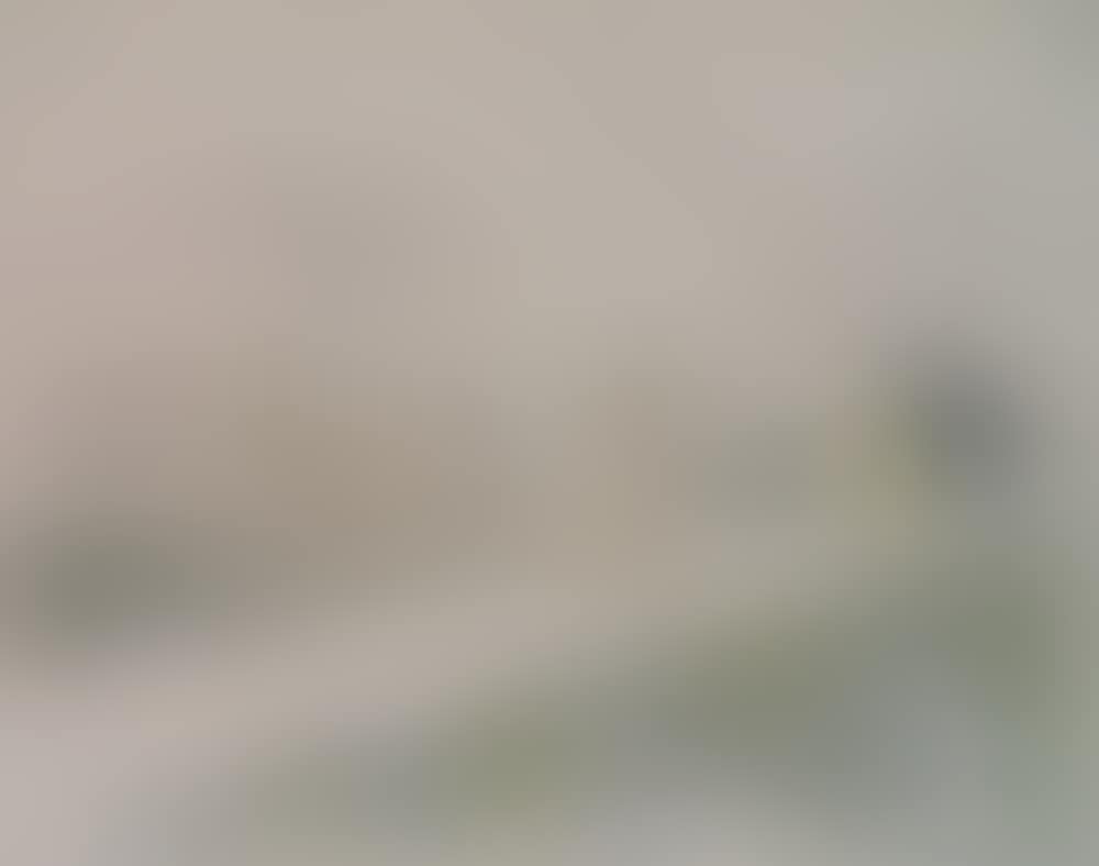 "Le Jardin des Tuileries" (Roger-Marx 28) (preview)