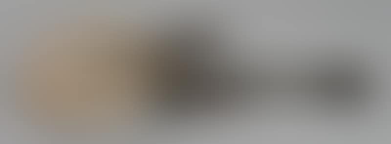 African lute (preview)