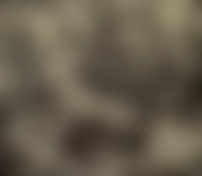 "Quail" (preview)