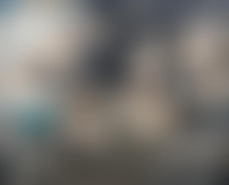 Rimatara Tahitian cemetery (preview)
