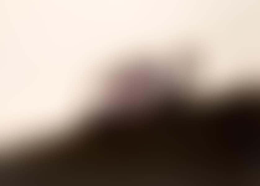 The Dog (preview)