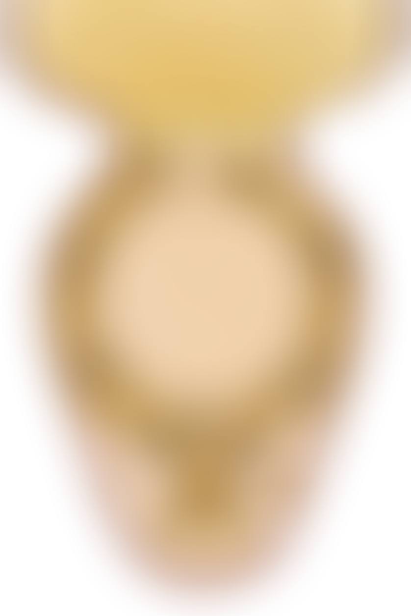 Gentleman Pope medal (preview)