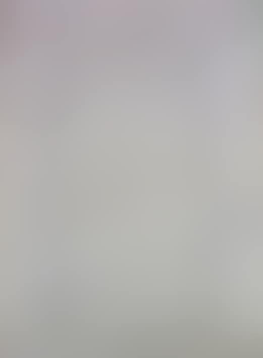philosophical manuscript (preview)