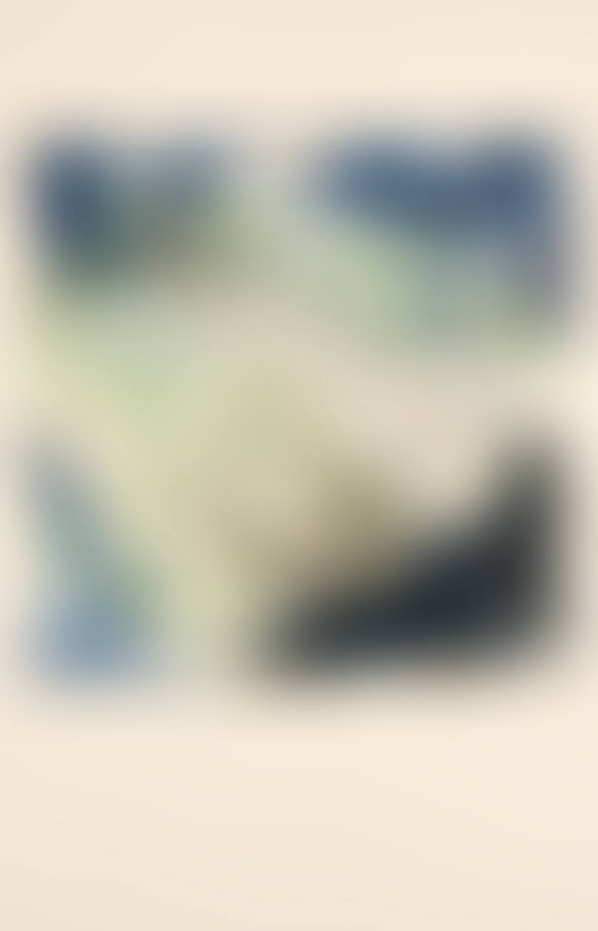 Lithographie 266 (preview)