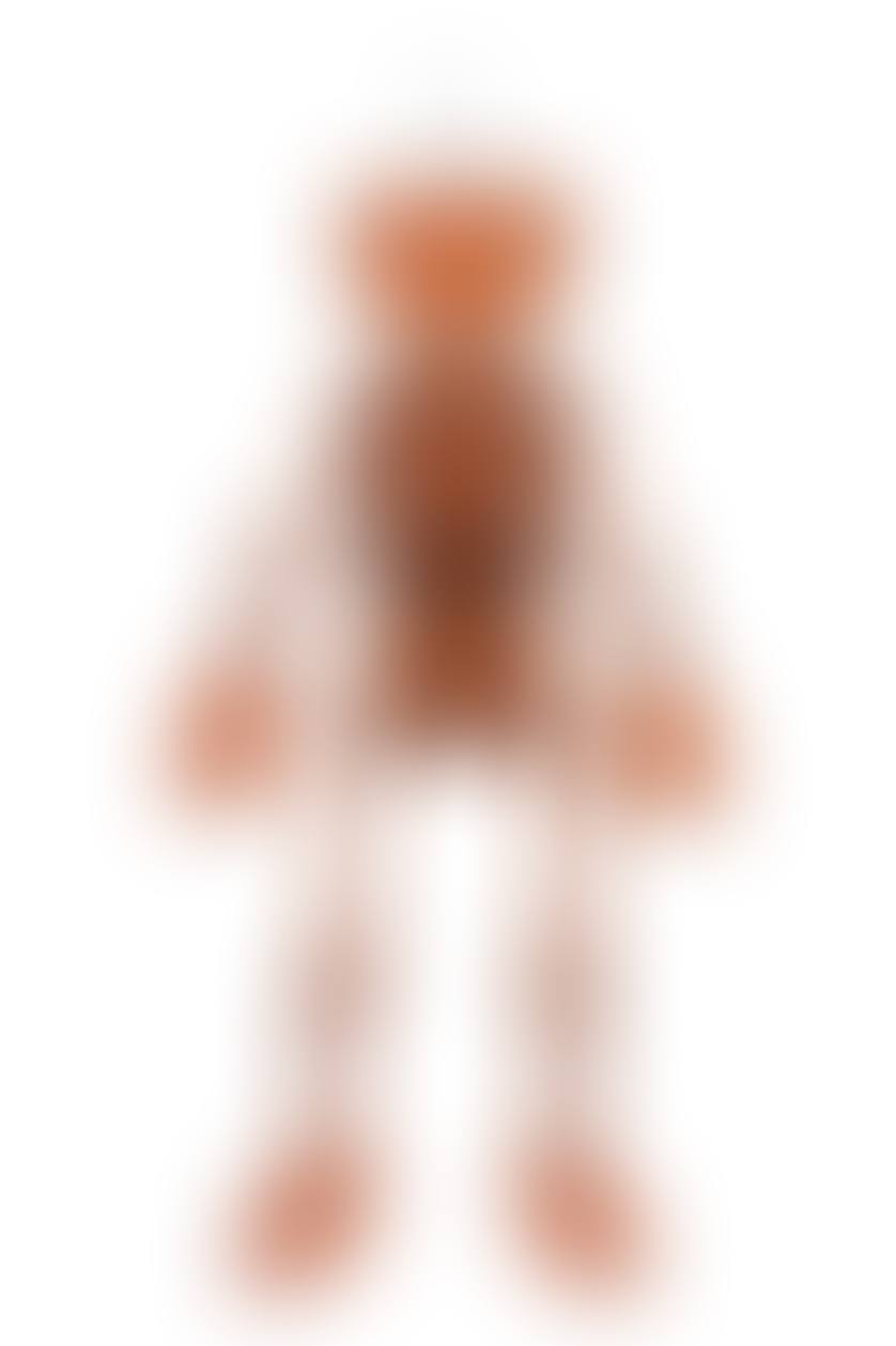 Companion skeleton (preview)