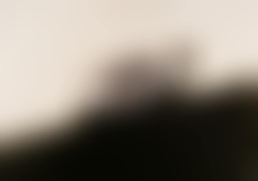 El perro (preview)