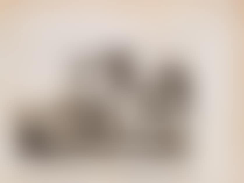 sepulchral vault in the environs of Manresa (preview)