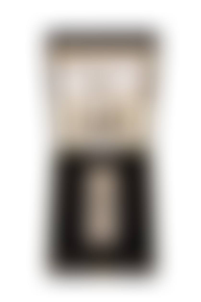 silver plated lighter (preview)