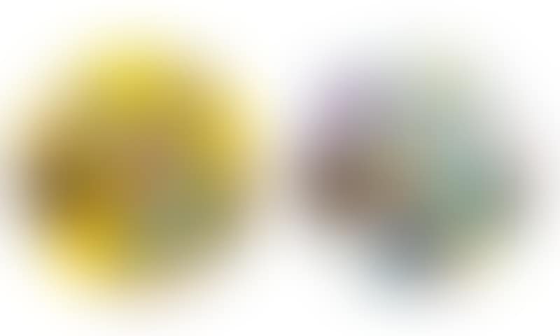 a. Kansei: The Golden Age b. Kansei: Korin Flowers (preview)