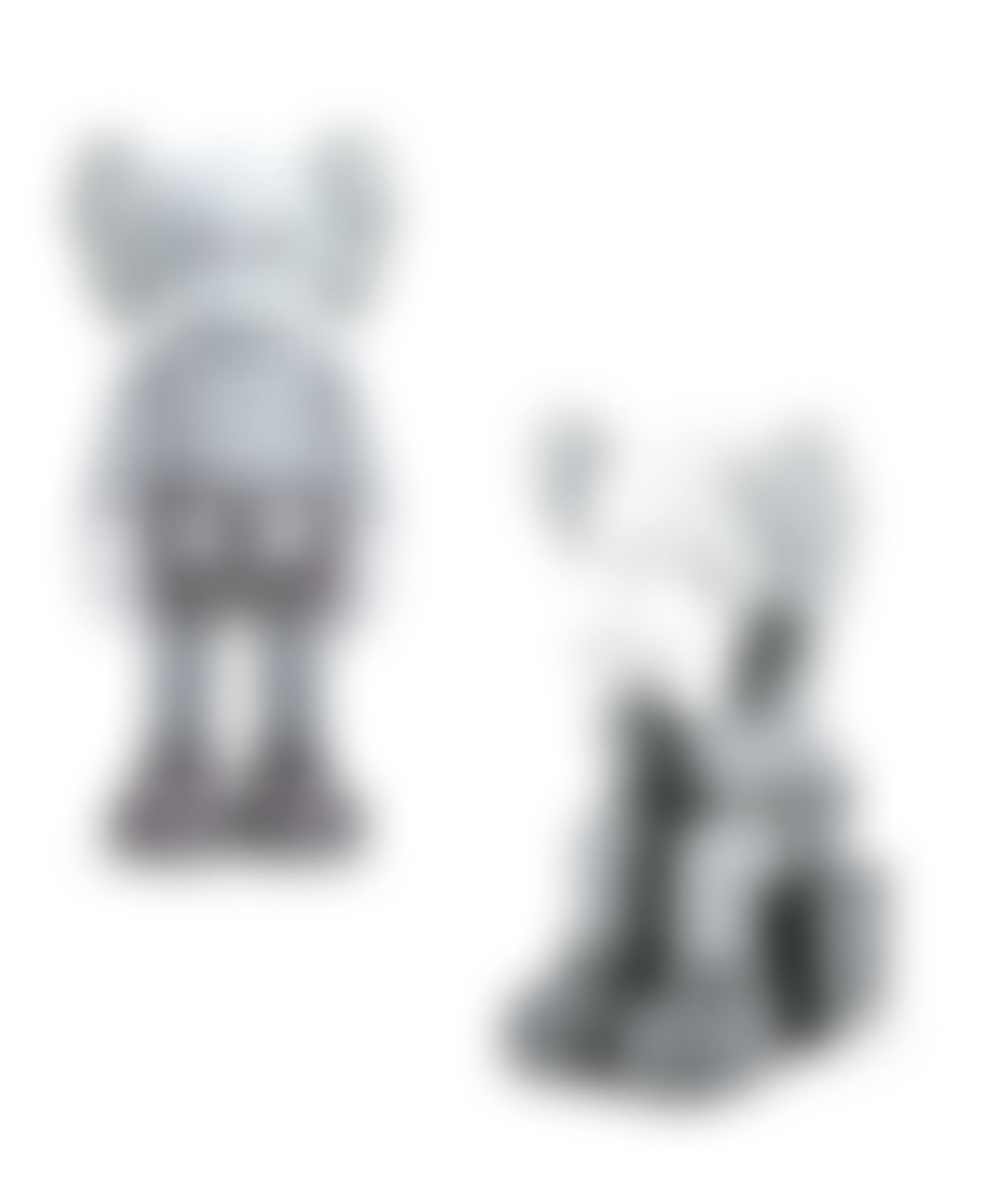 a. Companion: Five Years Later (Gray) b. Companion: Passing Through (Gray) (preview)
