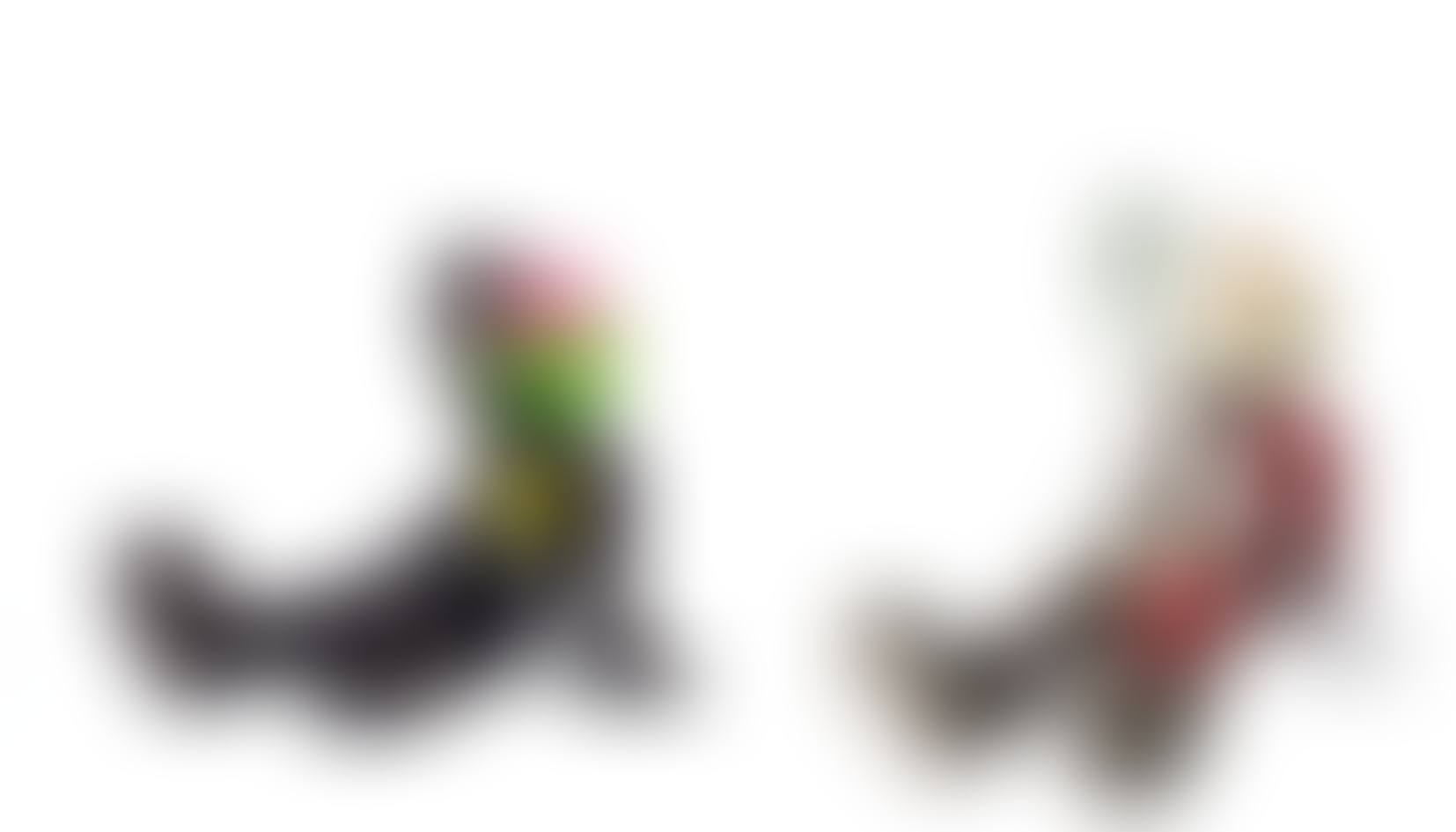 a. Dissected Companion: Resting Place (Black) b. Dissected Companion: Resting Place (Brown) (preview)