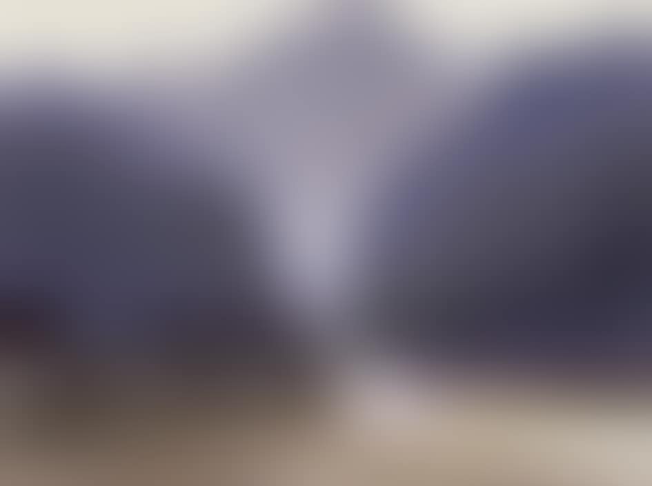 Landscape (preview)
