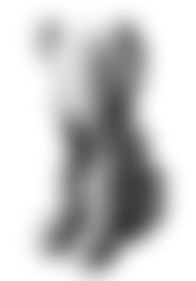 Companion (Passing Through) (Grey) (preview)