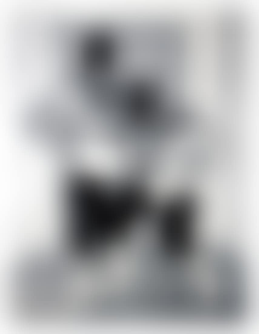 Los Lobos (preview)