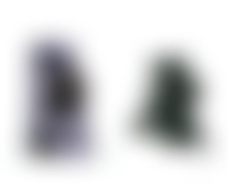 a. Lion b. Craftsman (preview)