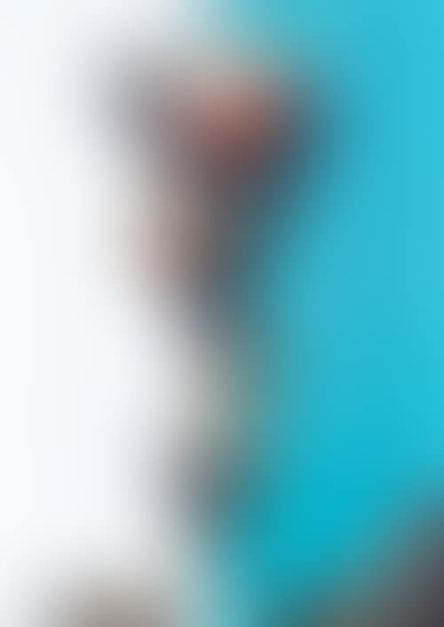 Gunegune DOB Special Version (preview)