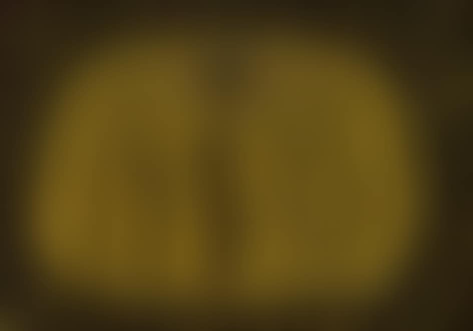 Pumpkin (preview)