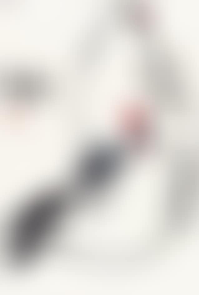Pair of Chicken (preview)