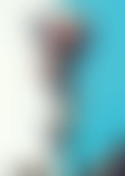 Gunegune DOB Special Version (preview)