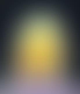 Self-Portrait (preview)