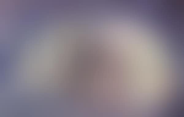 Coquillage (preview)