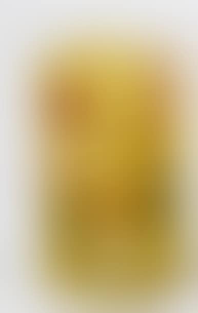 Vase with a quadrangular body (preview)