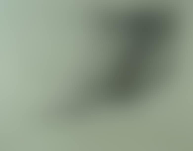 Composition (preview)