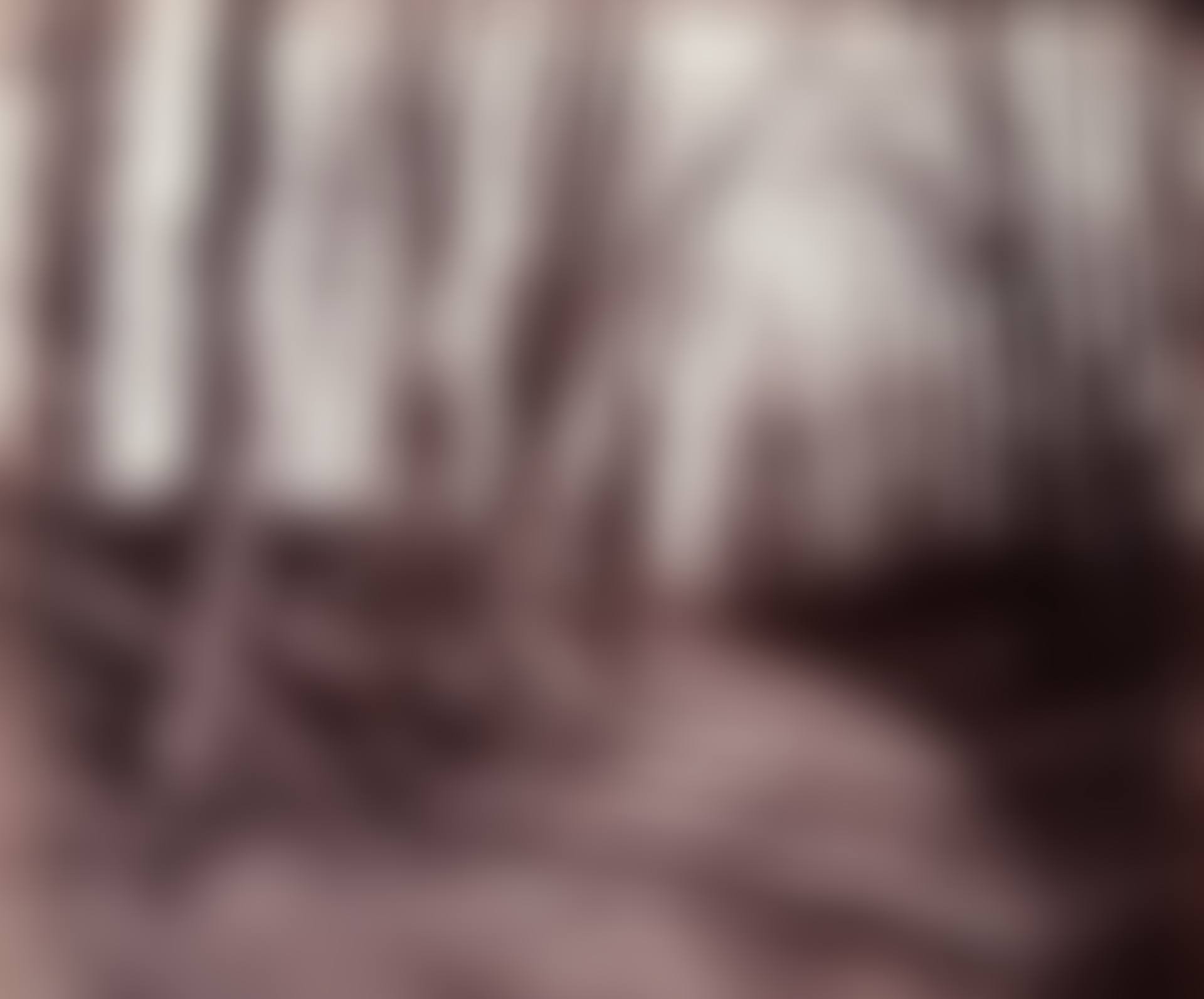 Parc de Saint-Cloud (path) (preview)